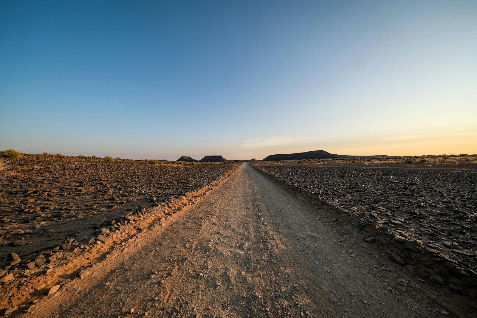 A dirt road stretching toward the horizon at golden hour