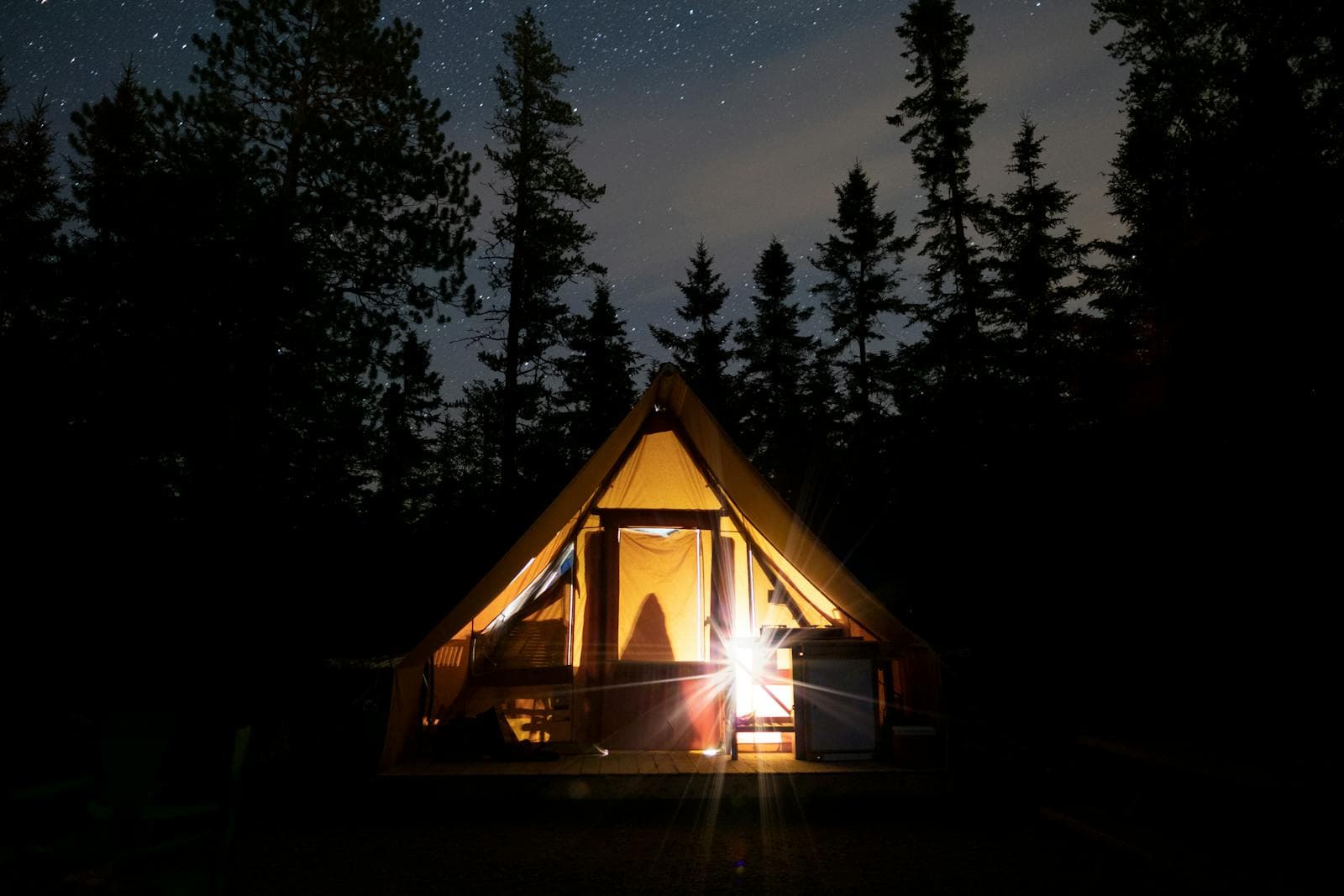 A glowing canvas tent under a starry sky in a pine forest
